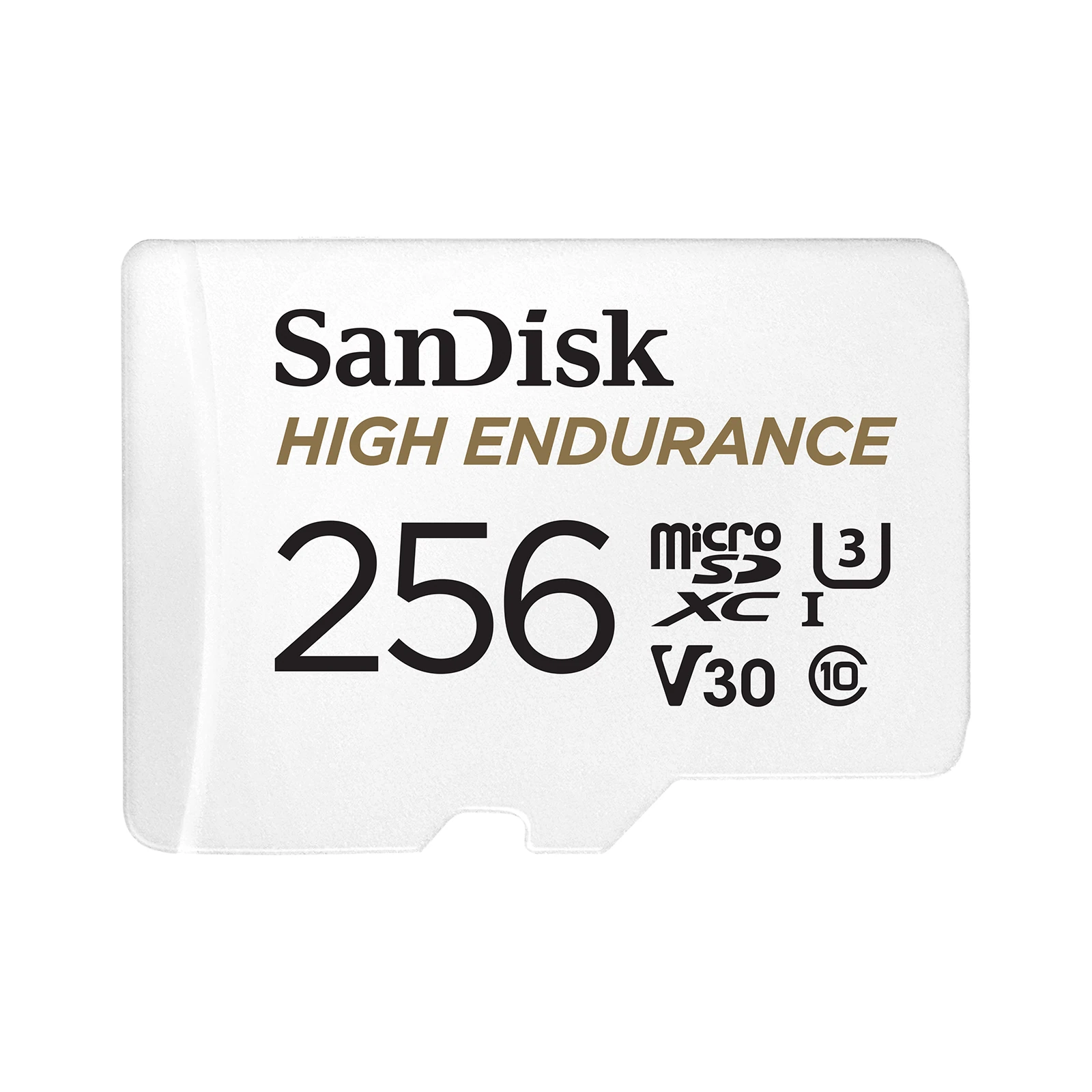 SanDisk 256GB High Endurance microSD card and adapter